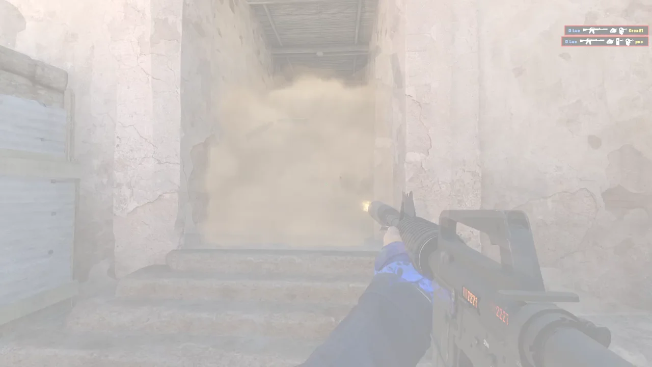 highlight